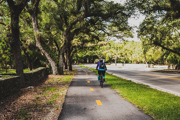 https://www.miamilakes-fl.gov/11-mile-old-cutler-trail-under-the-cover-of-magnificent-fichus-t/