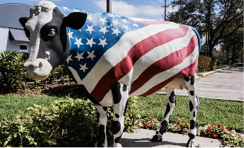American flag cow statue