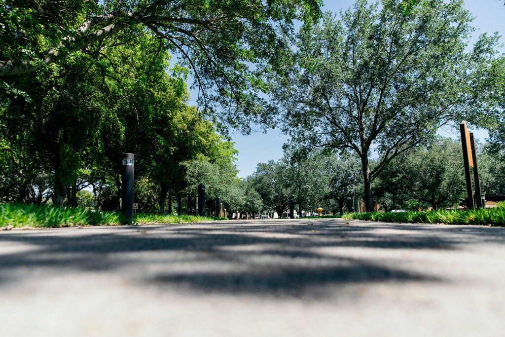 Veteran Park Walkway and Fields