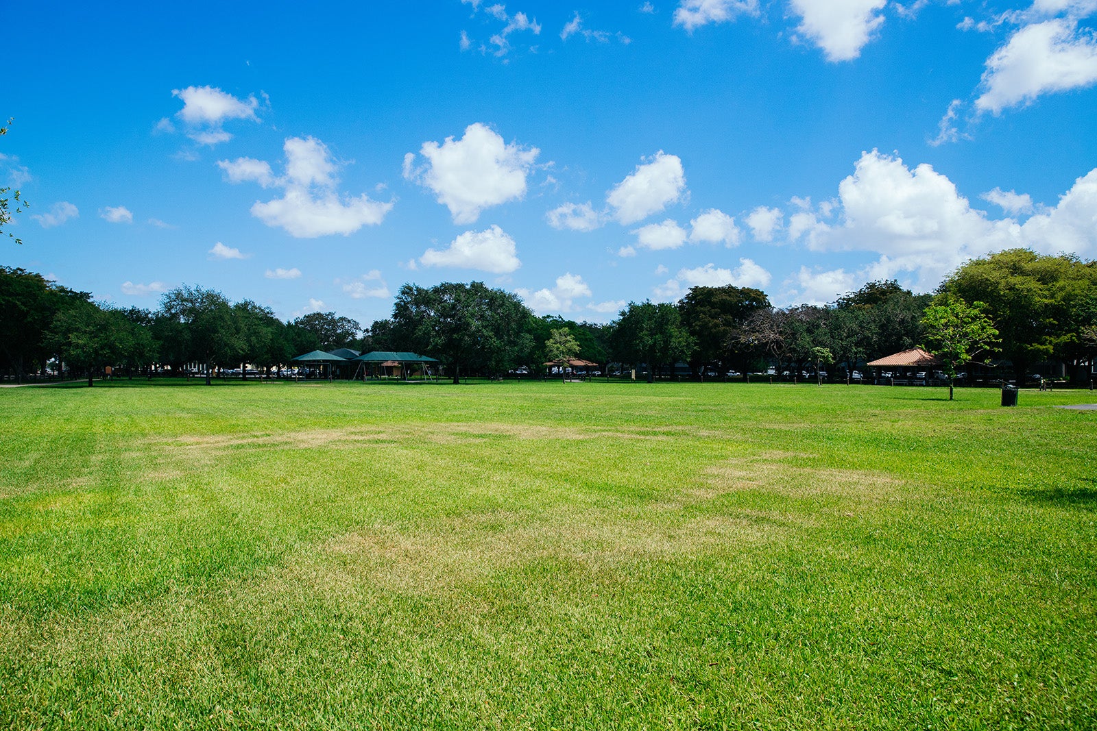 Veterans Park Walkways and Field