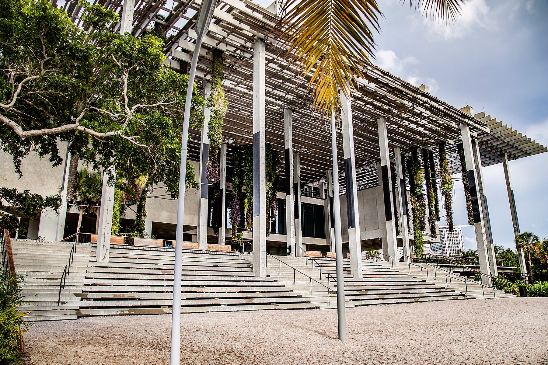 Senior Field Trip to the Pérez Art Museum Miami